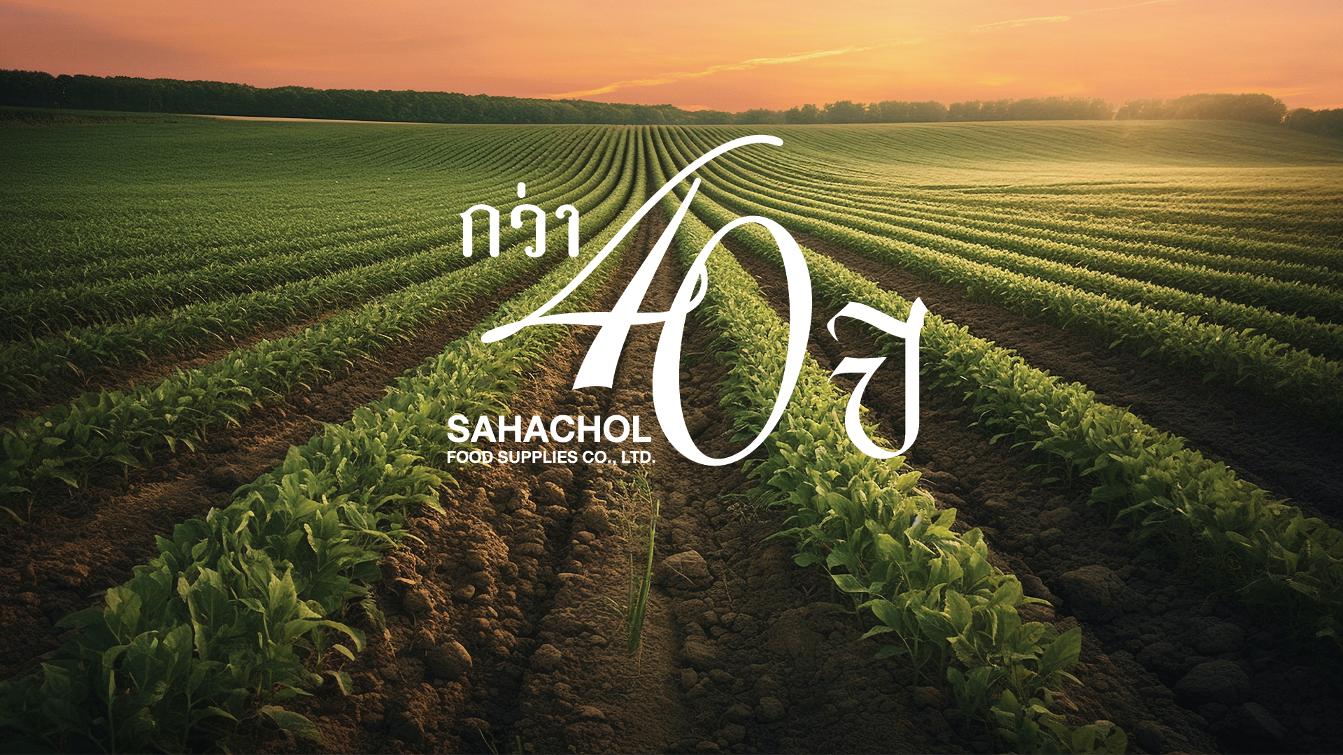 Sahachol Food Supplies